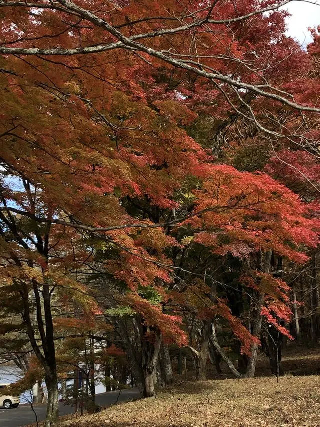 榛名湖