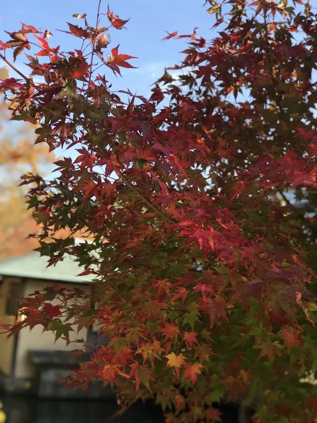 三景園