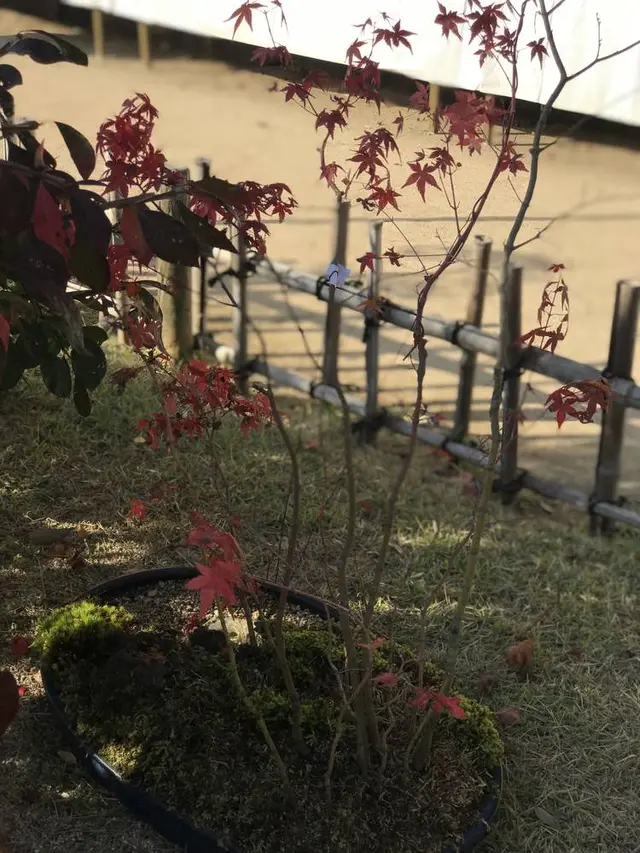 三景園