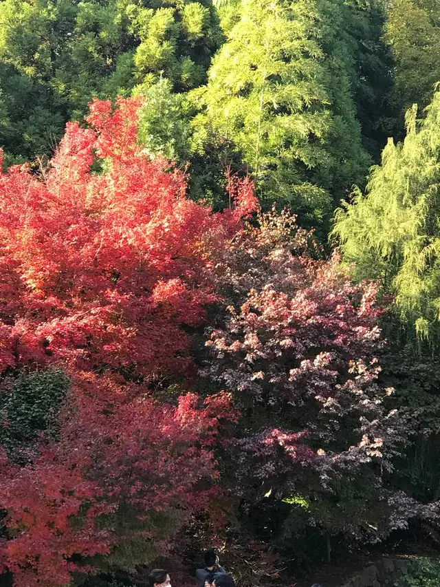 三景園