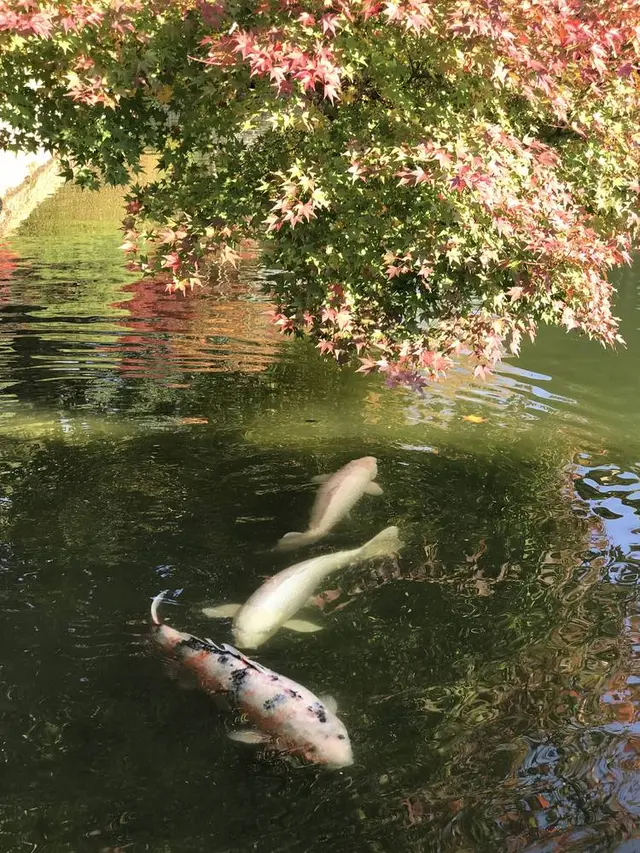 三景園