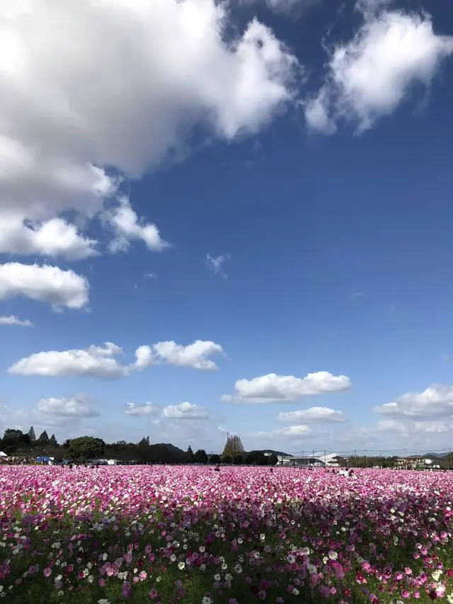 キリンビアファーム KIRIN BEER FARM BEER RESTAURANT