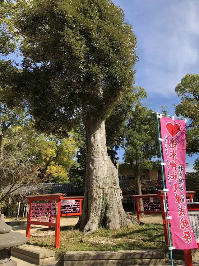 水田天満宮（恋木神社）