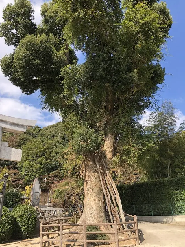 春日神社
