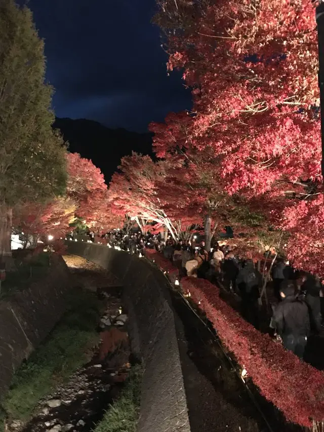 もみじ回廊