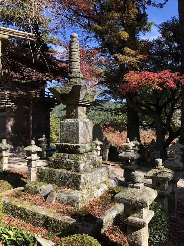 大悲王院の楓