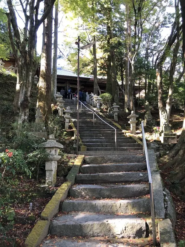 大悲王院の楓