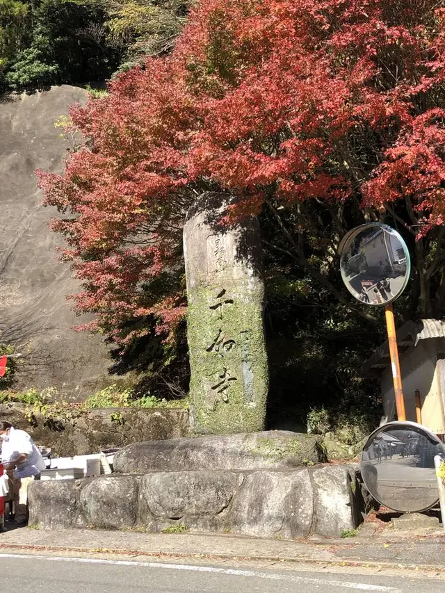 大悲王院の楓