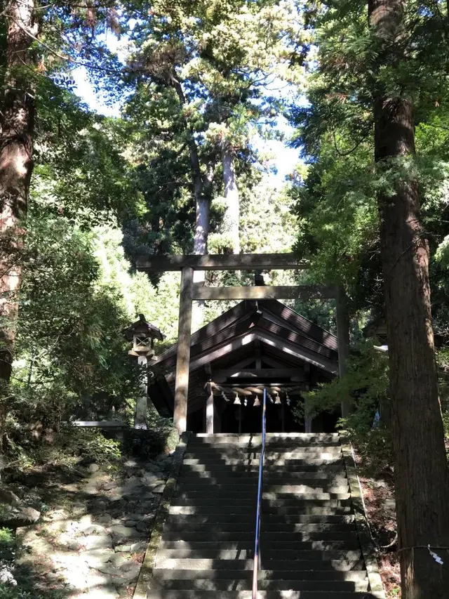 伊野天照皇大神宮