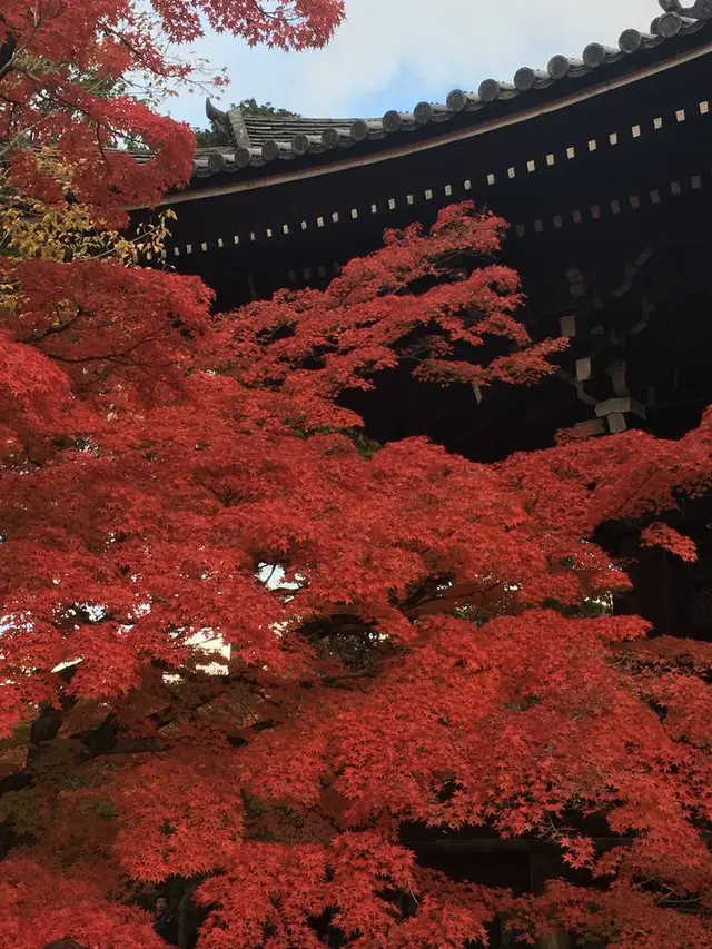 真如堂（真正極楽寺）