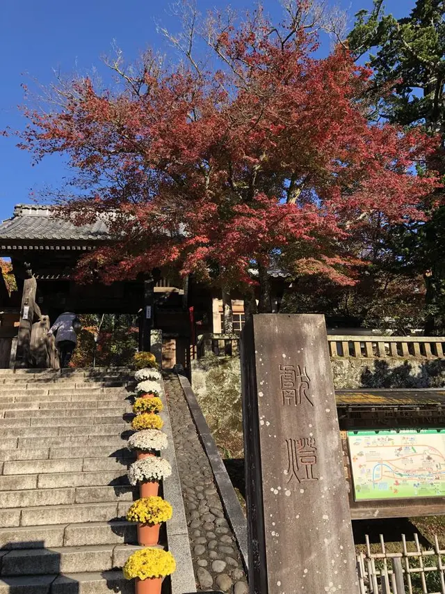 修善寺