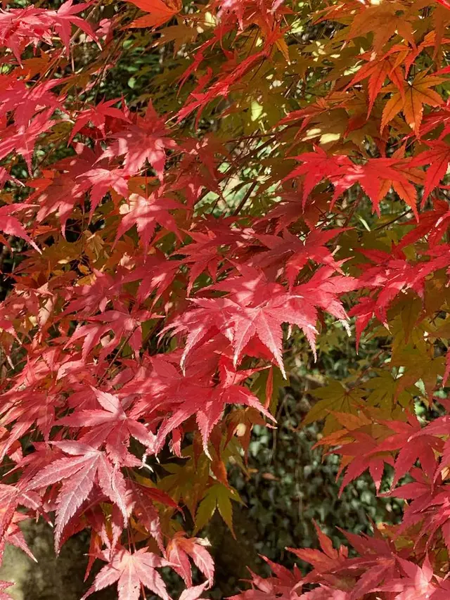 愛岐トンネル群