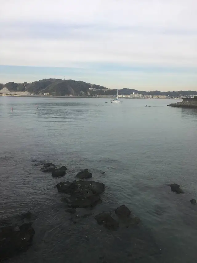 ラ・マーレ・ド・チャヤ 葉山本店