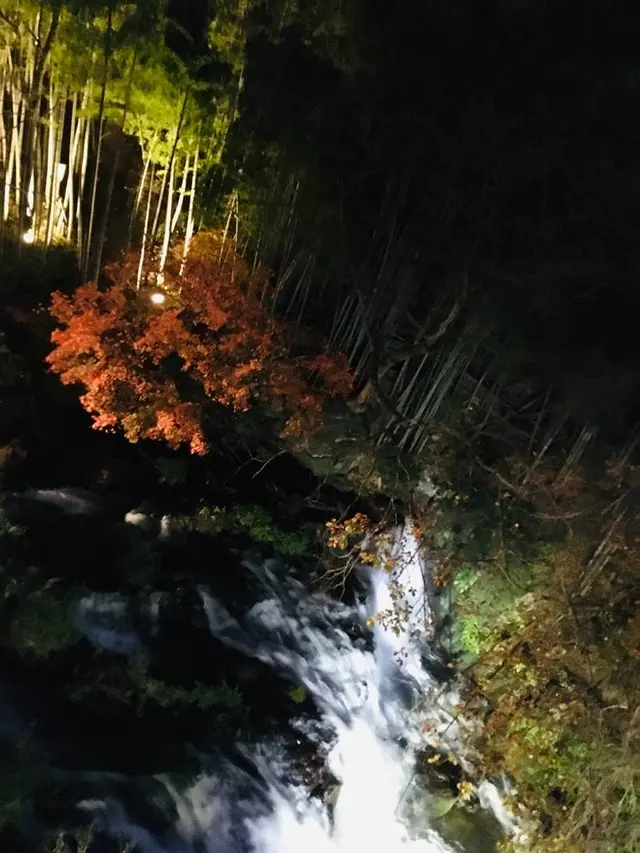 庄助の宿　瀧の湯
