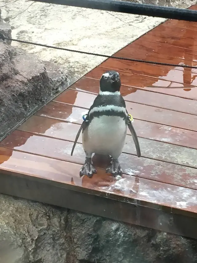 上越市立水族博物館 うみがたり（旧：上越市立水族博物館）