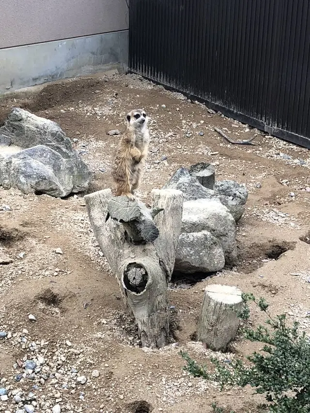 広島市安佐動物公園