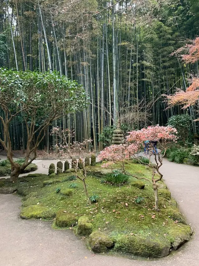 報国寺（竹寺）