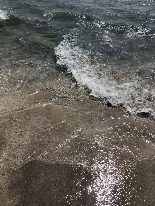 吉佐美大浜海水浴場