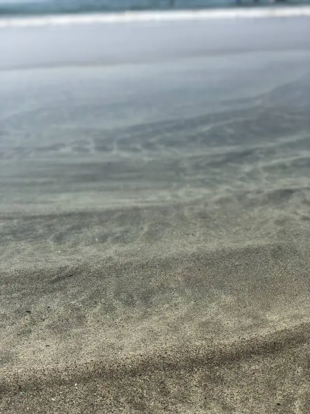 吉佐美大浜海水浴場