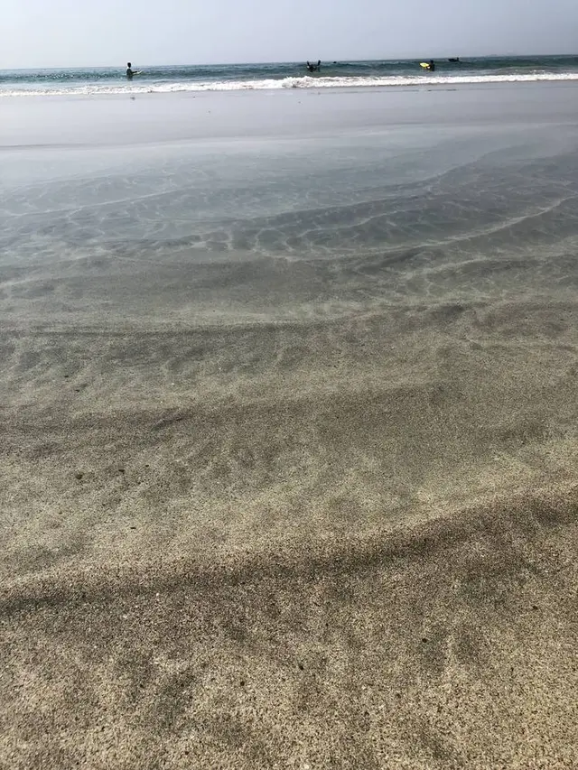 吉佐美大浜海水浴場