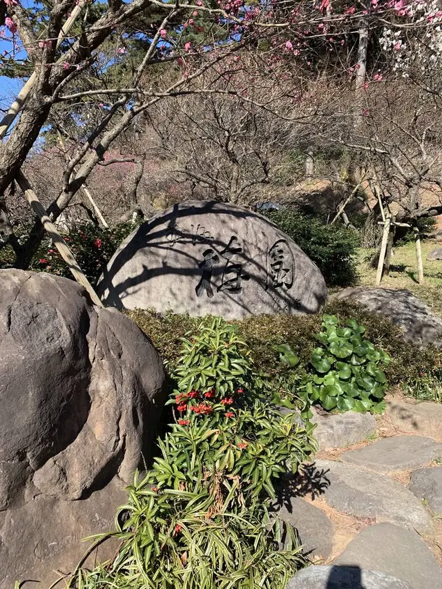 熱海梅園
