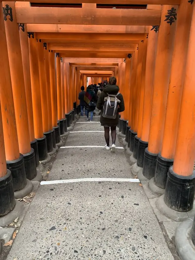 京都市