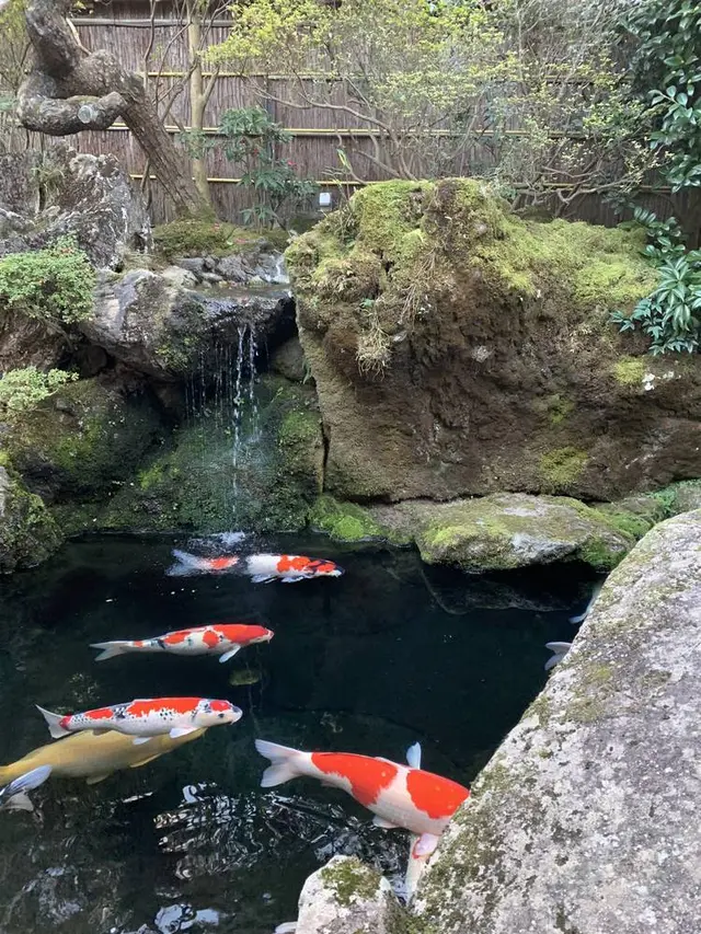 京都市