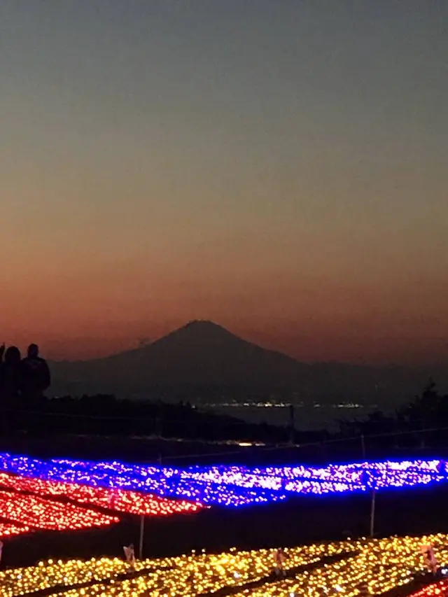 マザー牧場