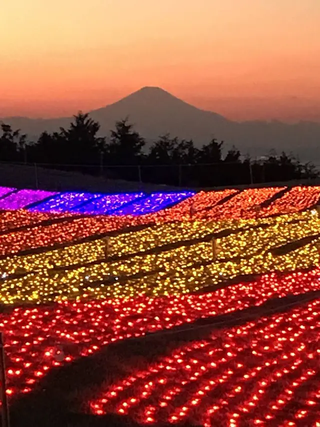 マザー牧場