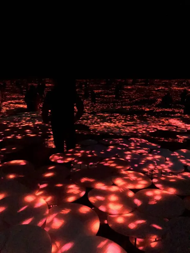 【閉業】森ビルデジタルアートミュージアム：エプソン チームラボボーダレス（MORI Building Digital Art Museum: EPSON teamLab Borderless）