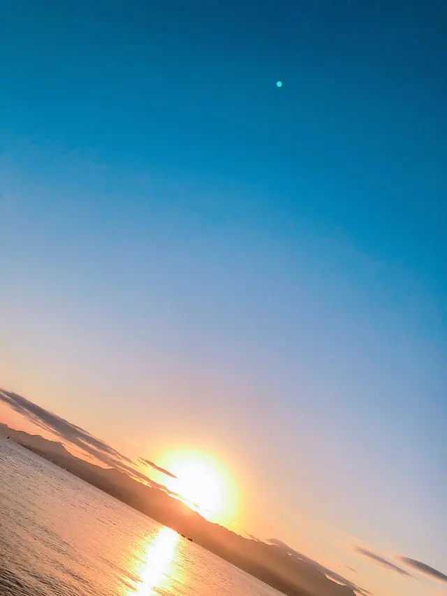 志島ヶ原梅林