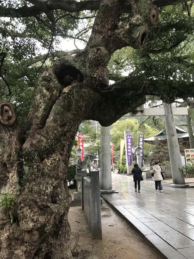 宮地嶽神社