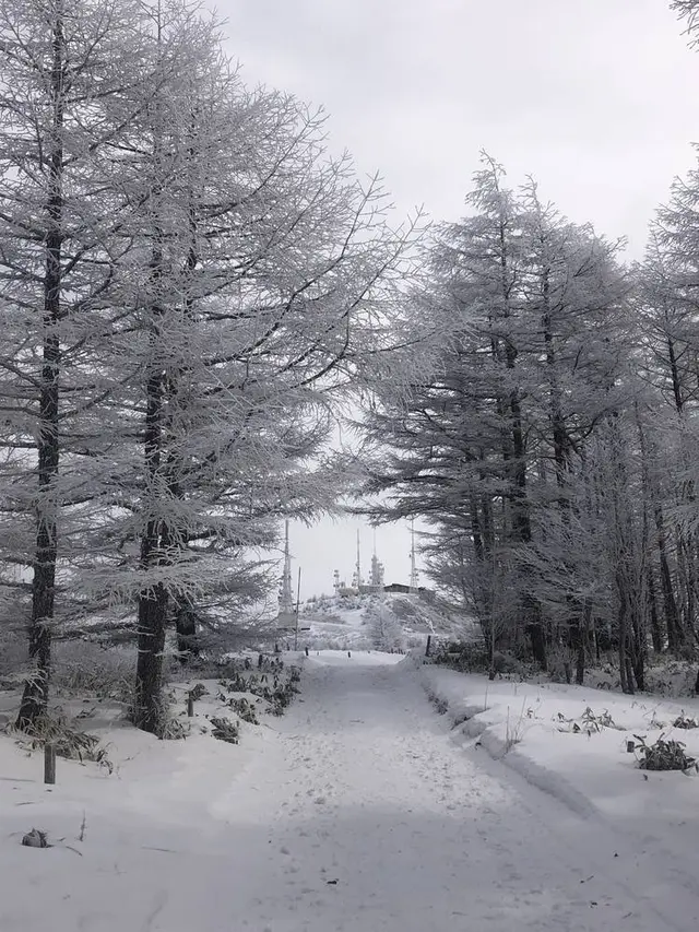 美ヶ原高原王ヶ頭ホテル