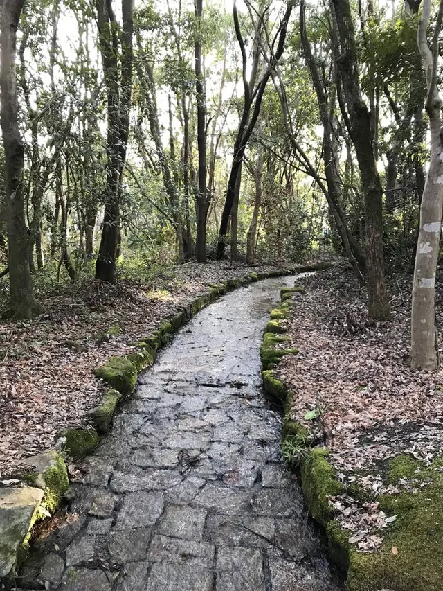 万博記念公園