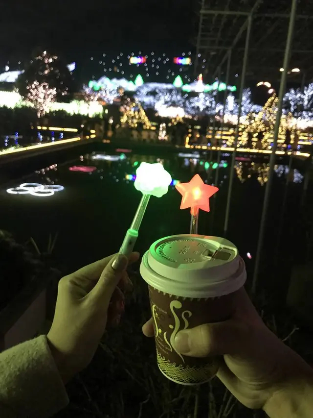あしかがフラワーパーク
