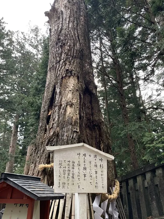 日光東照宮