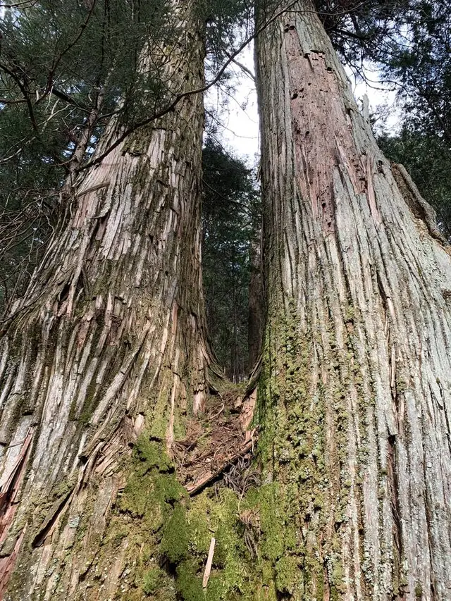 滝尾神社