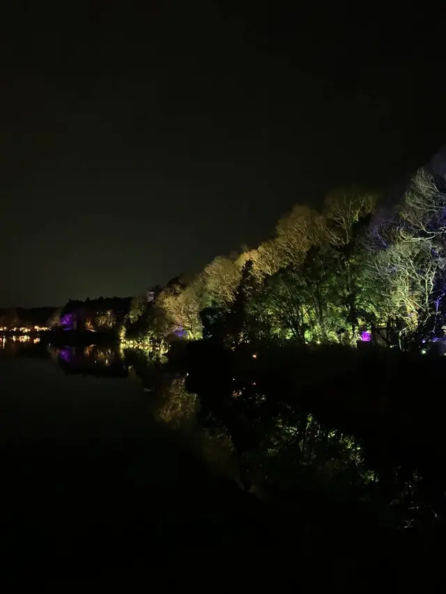 チームラボ  森と湖の光の祭