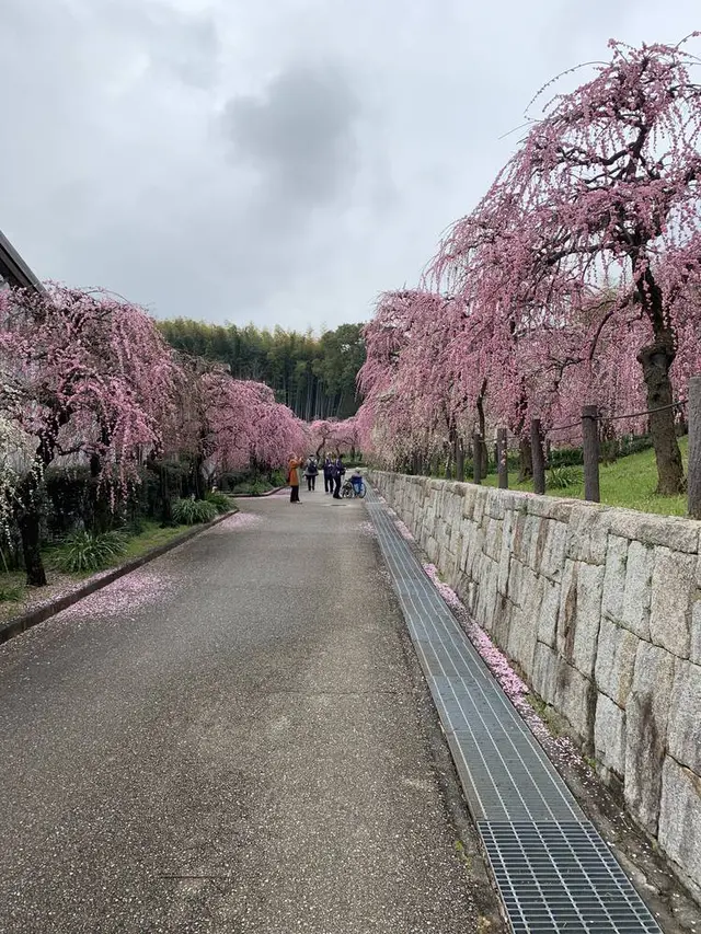 名古屋市農業センター