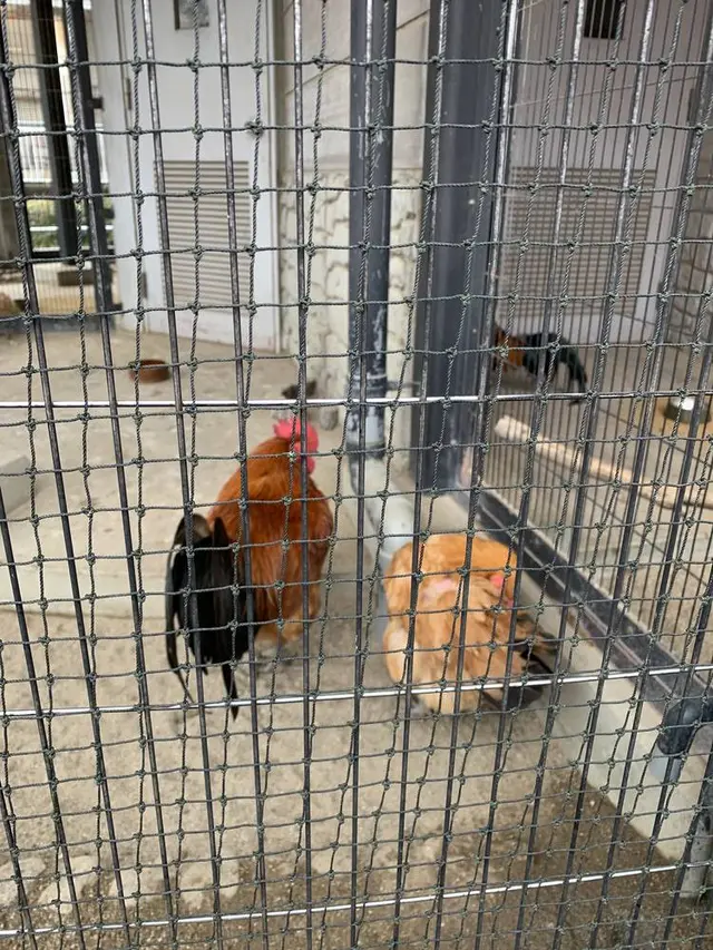 名古屋市農業センター