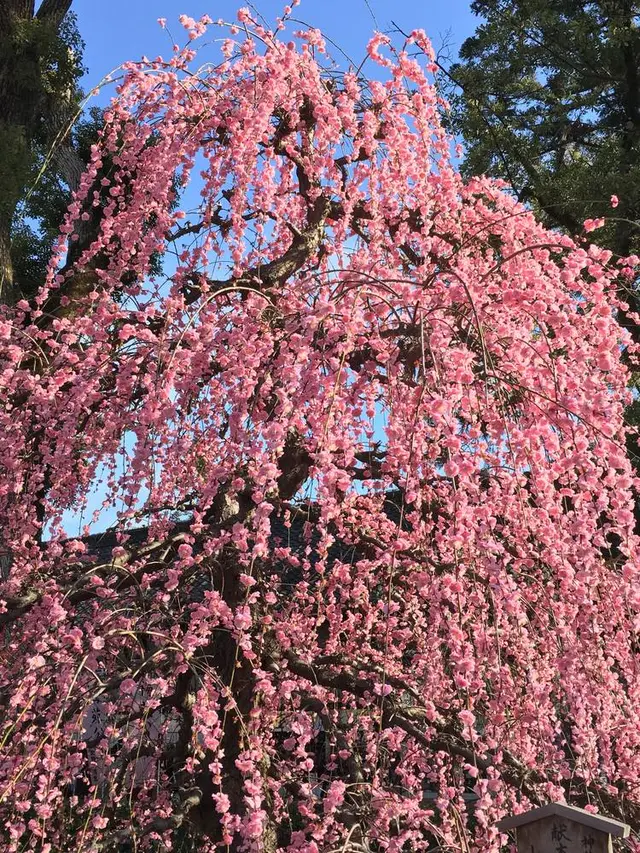 北野天満宮