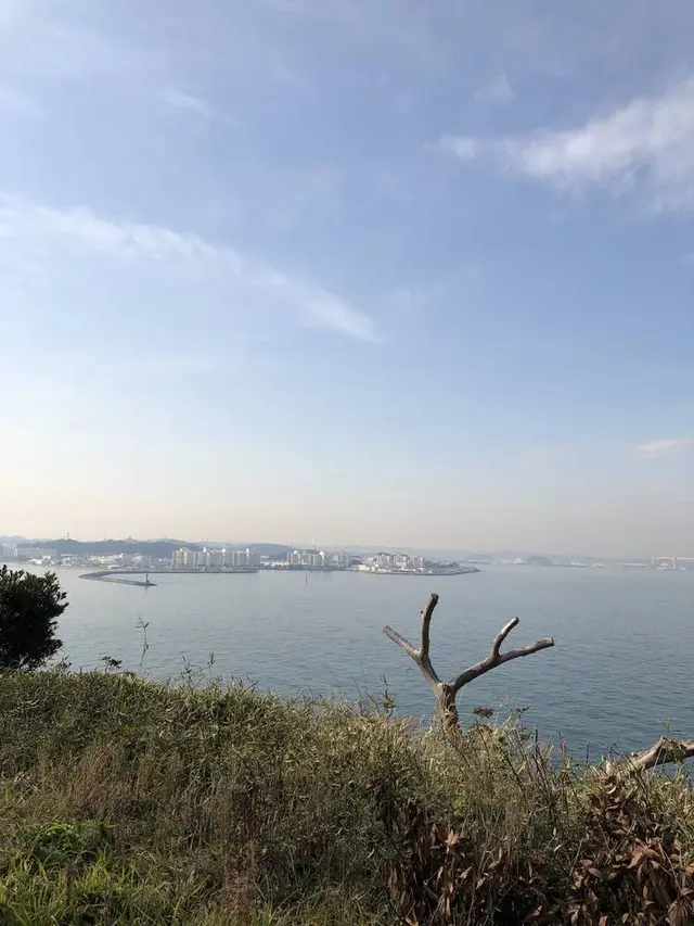 猿島