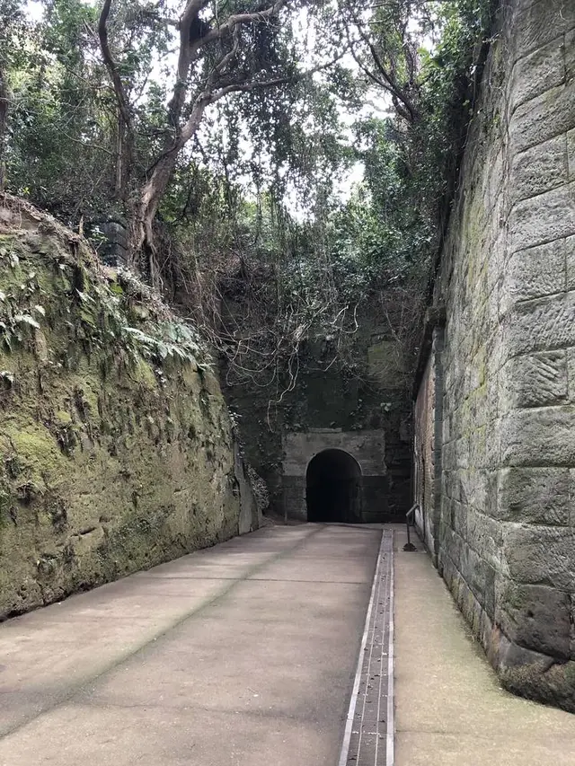 猿島