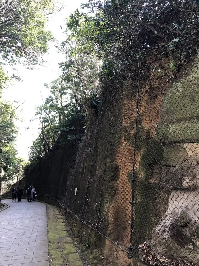 猿島