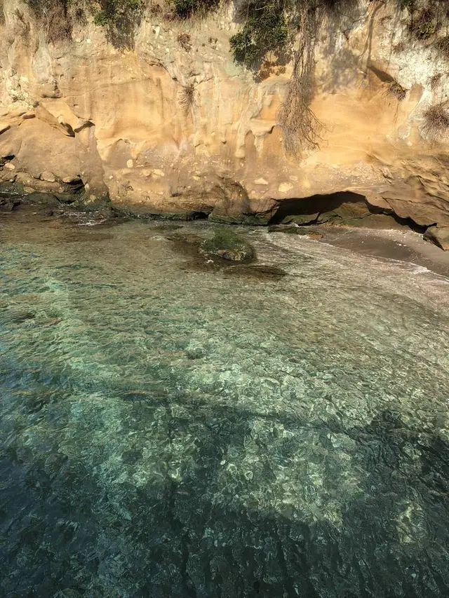 猿島