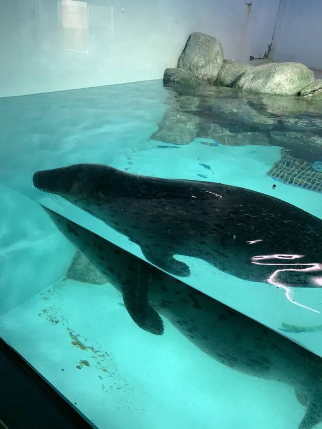 豊橋総合動植物公園 (のんほいパーク)
