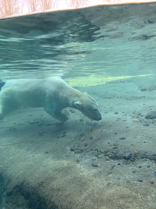 豊橋総合動植物公園 (のんほいパーク)