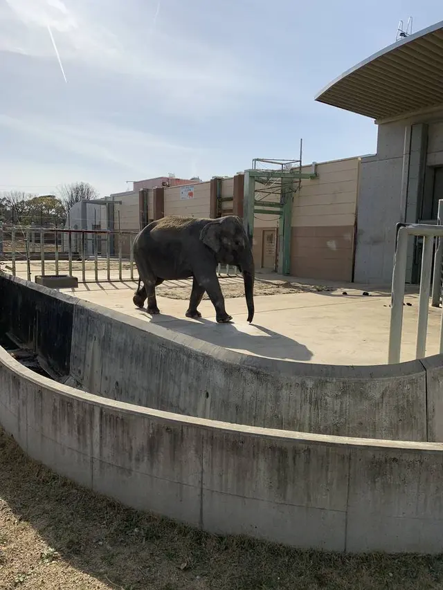 豊橋総合動植物公園 (のんほいパーク)