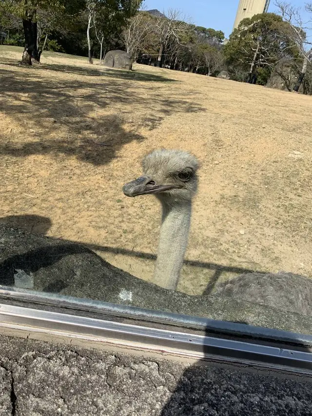 豊橋総合動植物公園 (のんほいパーク)