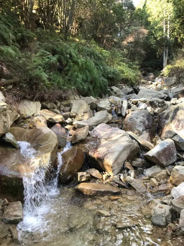 野呂山